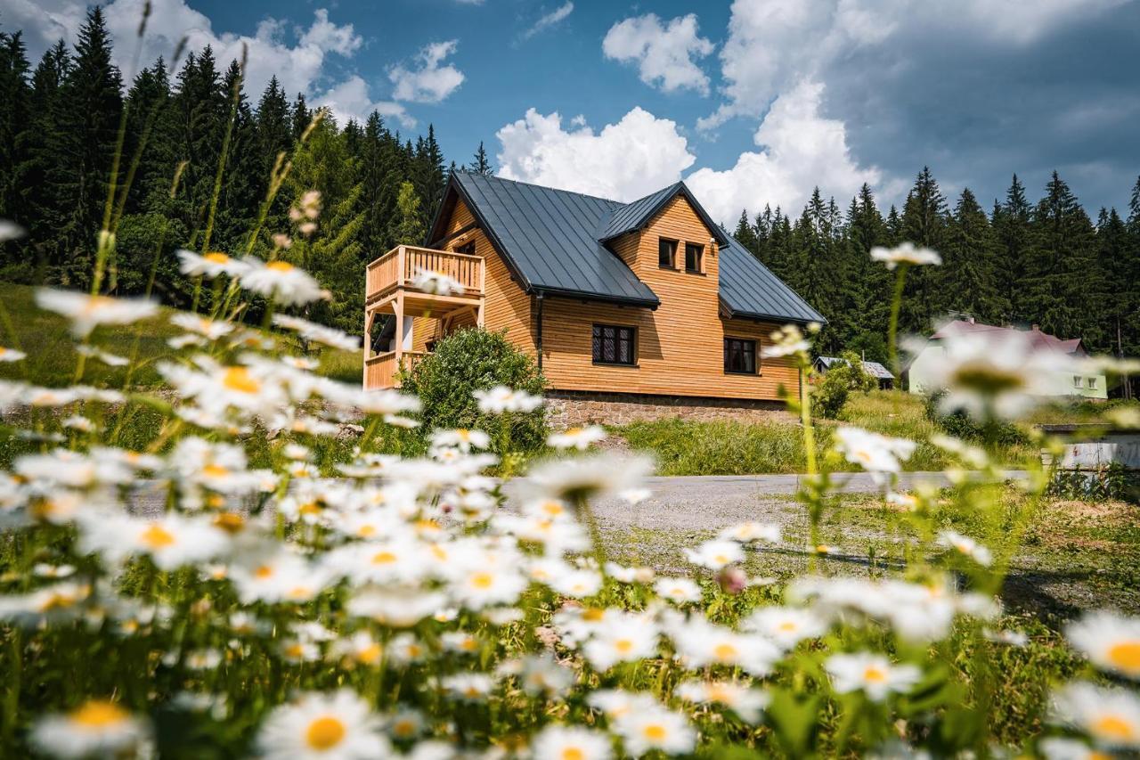 Apartmany Mezivodi Kycera Екстериор снимка
